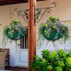 imageAmagabeli Hanging Plants Bracket 10 inch Outdoor Planter Hooks Hangers Flower Baskets Pot Bird Feeder Hanger for Fence Wall Trees Wind Chimes Lantern Outdoor Indoor Garden Arm 3D Bird Black hook02