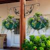 imageAmagabeli Hanging Plants Bracket 12 Inch Outdoor Hooks Hangers Flower Basket Planter Pot Bird Feeder for Fence Wall Tree Wind Chimes Lantern Outdoor Indoor Patio Garden 3D Bird Arm Metal Black hook03