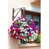 imageAmagabeli Hanging Plants Bracket 12 Wall Planter Hook Flower Pot Bird Feeder Wind Chime Lanterns Hanger Patio Lawn Garden for Shelf Shelves Fence Screw Mount against Door Arm Hardware