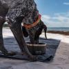 imageYETI Boomer 8 Stainless Steel NonSlip Dog Bowl Holds 64 OuncesSandstone Pink