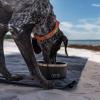 imageYETI Boomer 8 Stainless Steel NonSlip Dog Bowl Holds 64 OuncesWild Vine Red