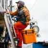 imageYETI Roadie 24 CoolerKing Crab