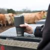 imageYETI Rambler 30 oz Stainless Steel Vacuum Insulated Tumbler wMagSlider Lid CharcoalCharcoal