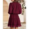 imageBTFBM Women Casual Summer Spring Dresses 2025 Tie Neck Long Sleeve High Waist Tiered Ruffle Aline Swing Tunic Mini DressDot Wine Red